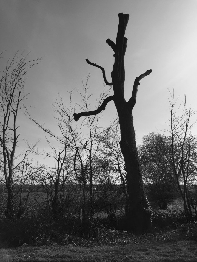 60EB7DAE-7B06-4589-B4B1-4CB59591A2BF_1_201_a