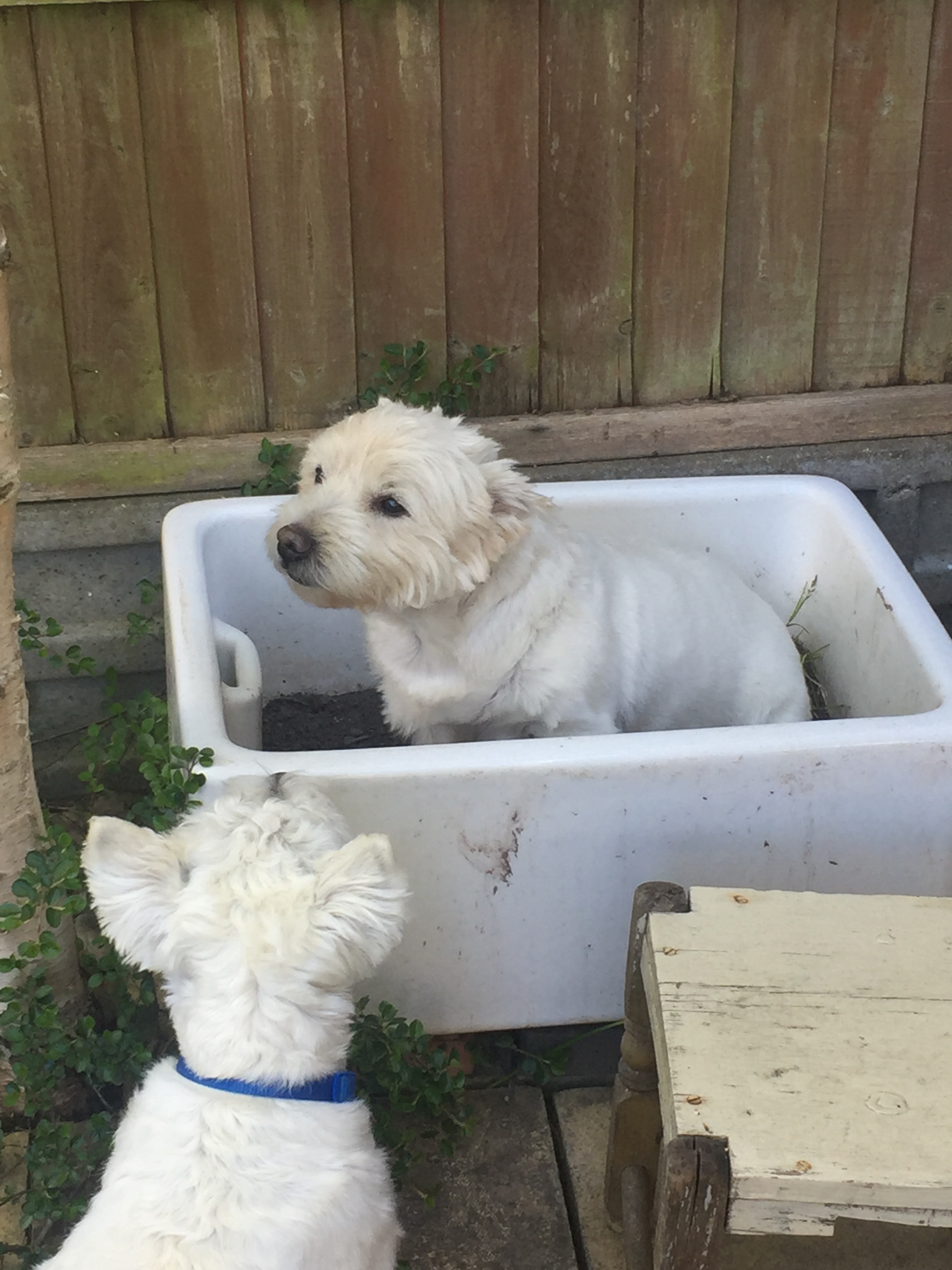 FD14F586-FB81-4A2B-B7E0-F81D5D233363